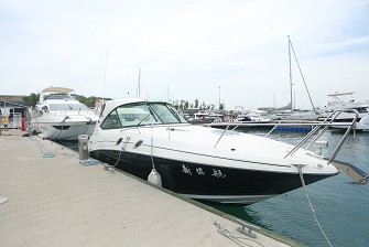 Searay305運(yùn)動(dòng)艇