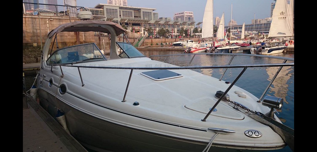 Sea Ray 315